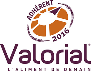 valorial-2016